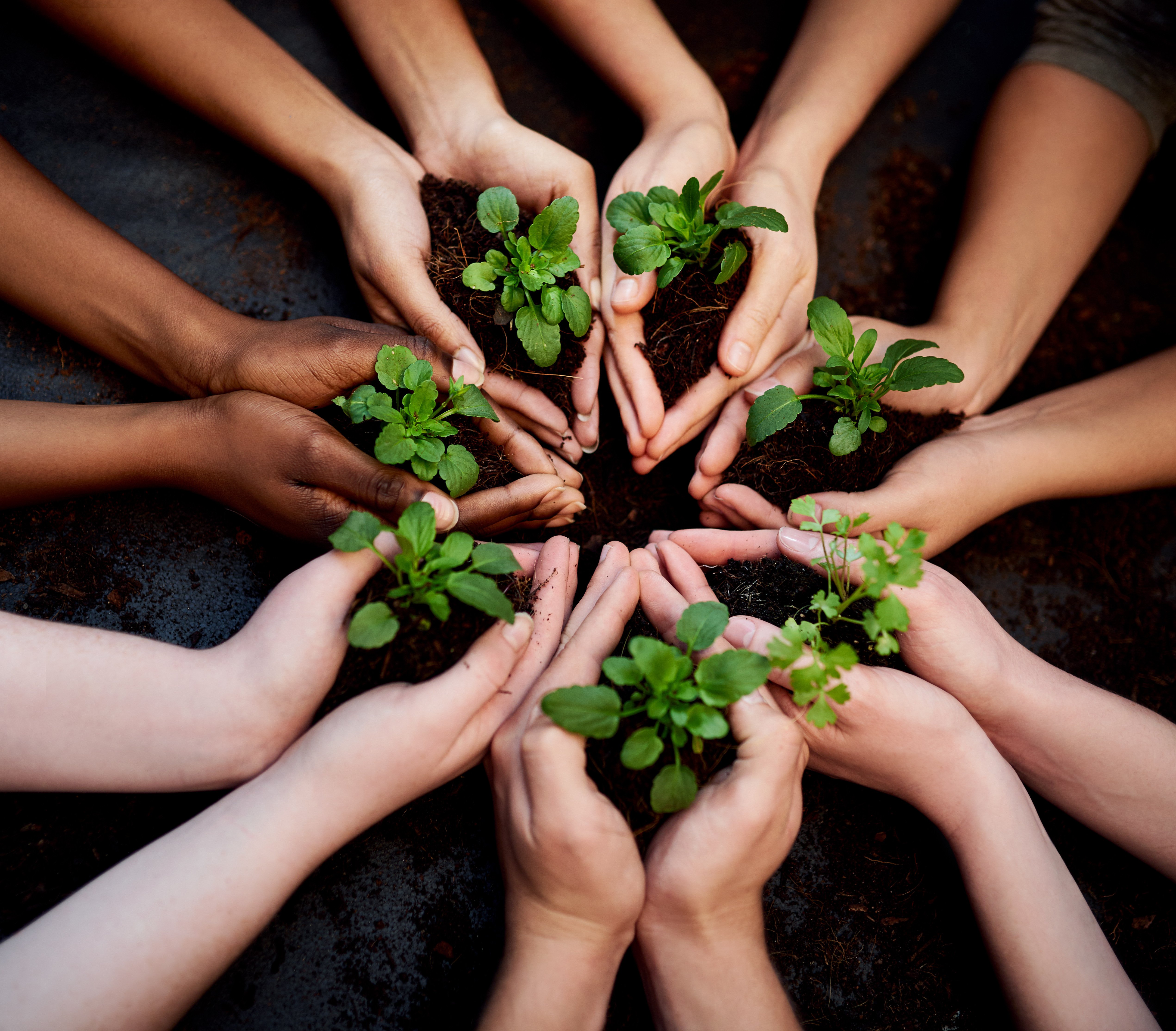 cropped-shot-of-a-group-of-people-holding-plants-g-2023-11-27-04-56-51-utc