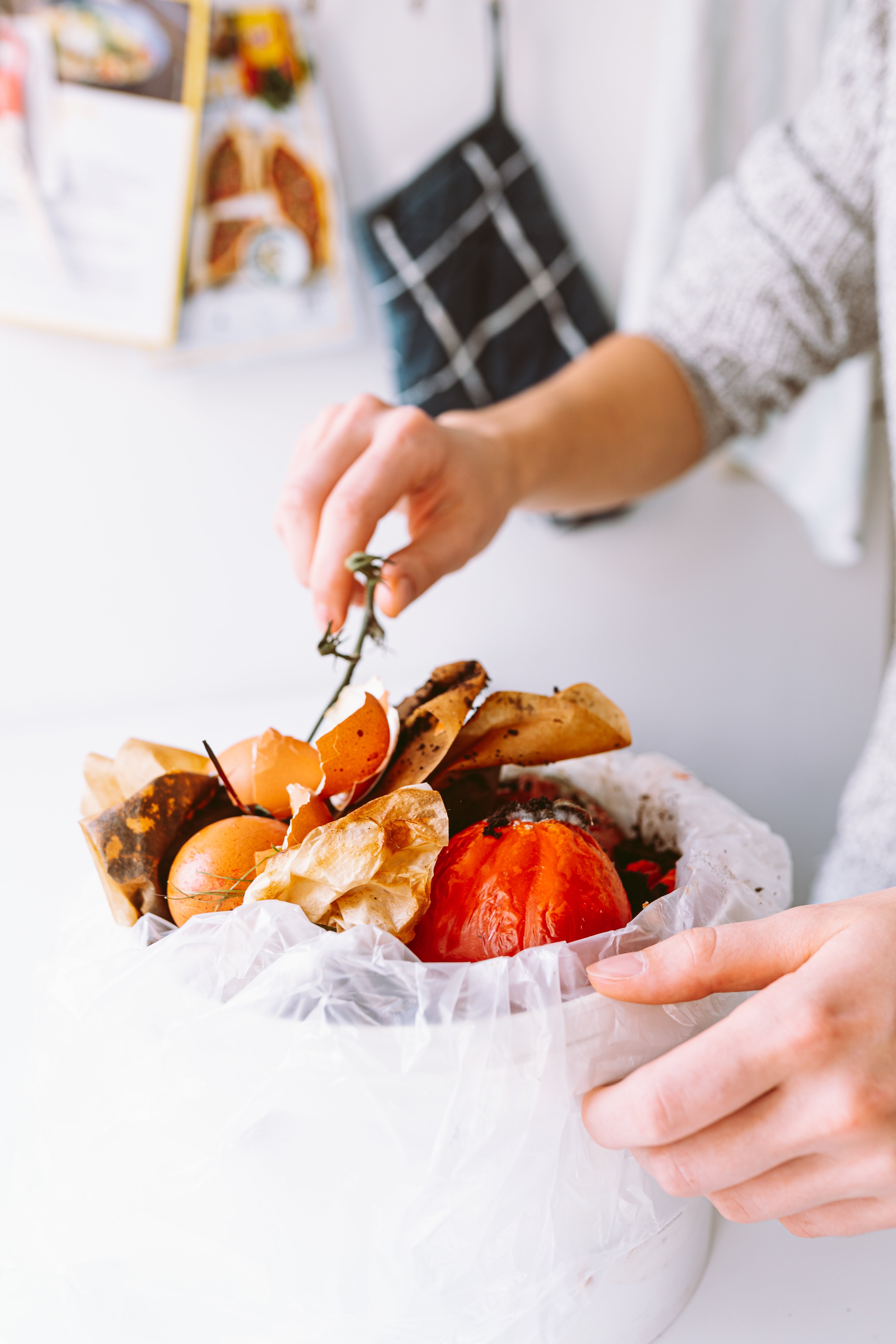 bucket-with-biological-garbage-food-waste-in-biod-2023-11-27-05-20-04-utc