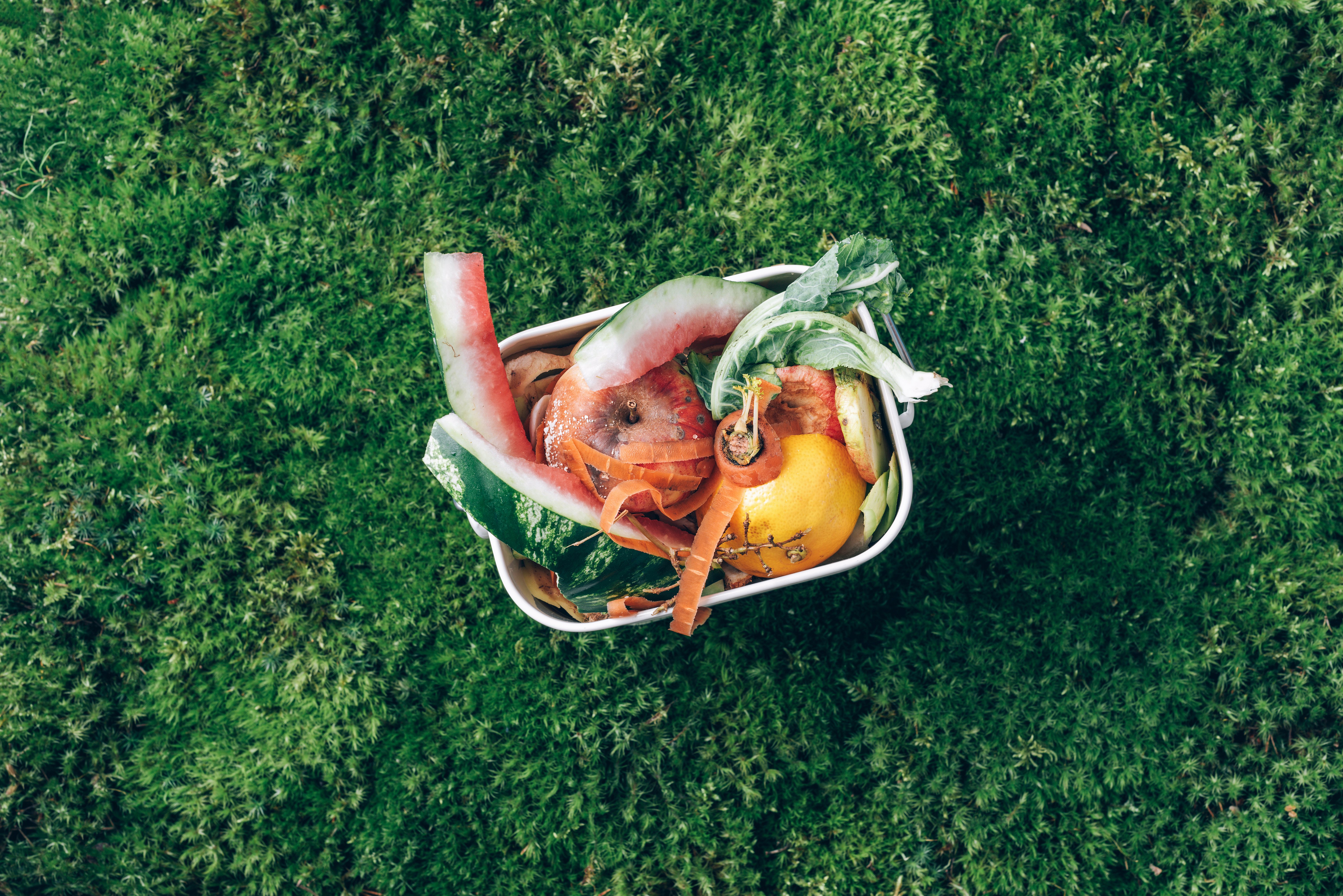 sustainable-and-zero-waste-living-vegetable-waste-2023-11-27-04-49-02-utc
