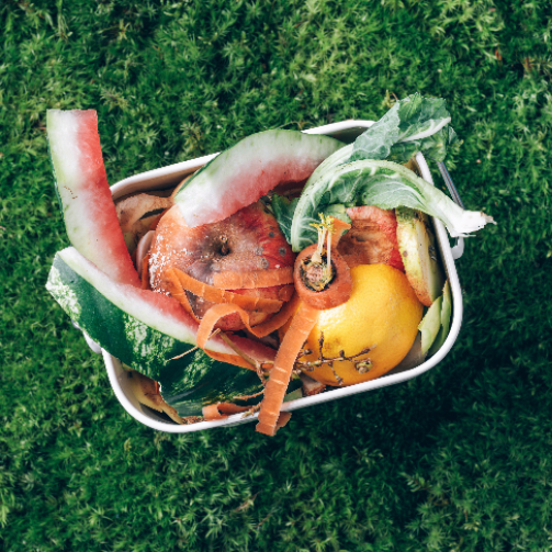 A basket full of food trimmings sitting on grass.