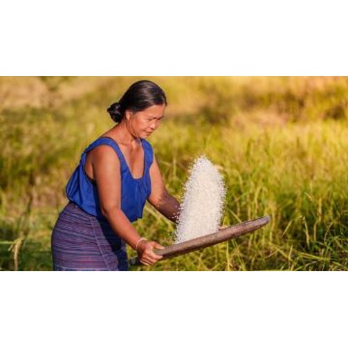 Woman-in-a-field