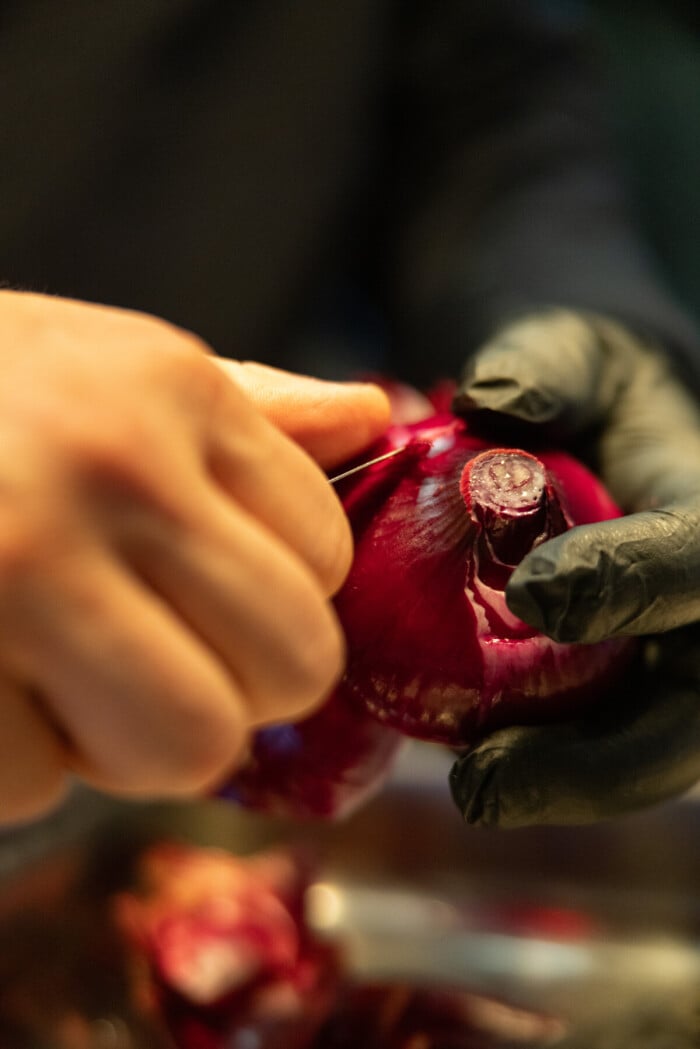 print_s_14062024-2E8A2743[2]