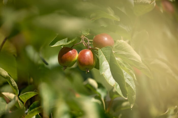 print_xs_12062024-2E8A9094[1]