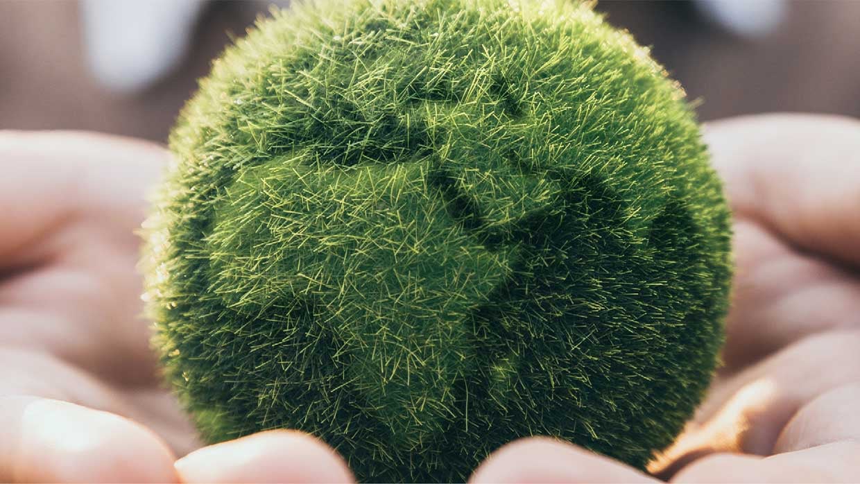 Haende halten gruenen, kleinen Ball der Planeten Erde repraesentiert