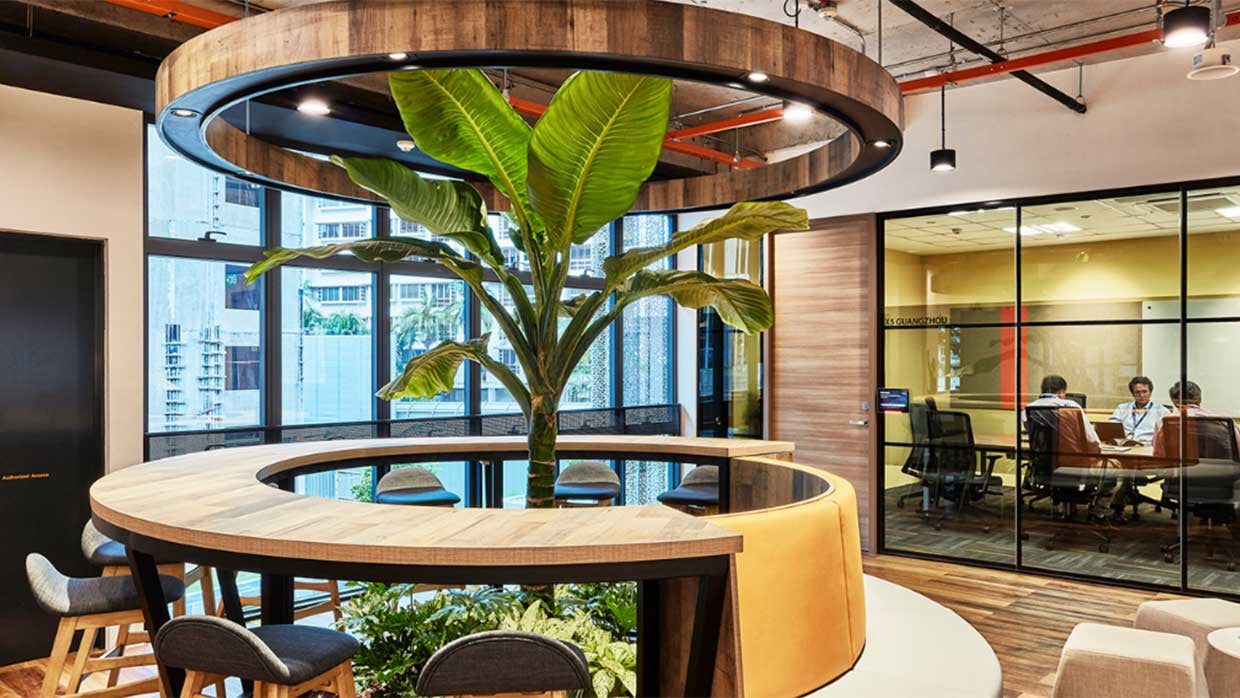 Moderner Arbeitsplatz mit Pflanze in einem Sodexo Office in Asien Moderner Arbeitsplatz mit Pflanze in einem Sodexo Office in Asien