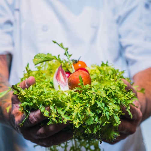 Sodexo-Salat-in-Hand