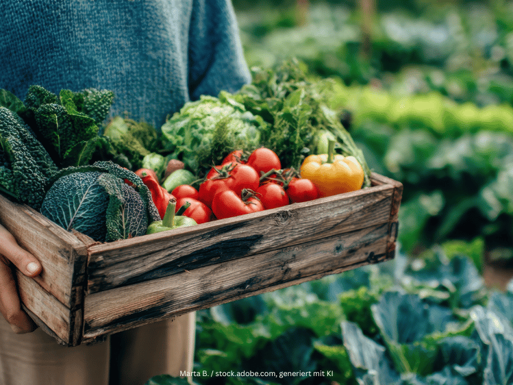 Holzkiste mit frischem Gemüse aus regionalem Anbau als Beispiel für verantwortungsvolle Beschaffung auf dem Feld.