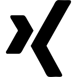 Logo des Social-Media-Kanals Xing