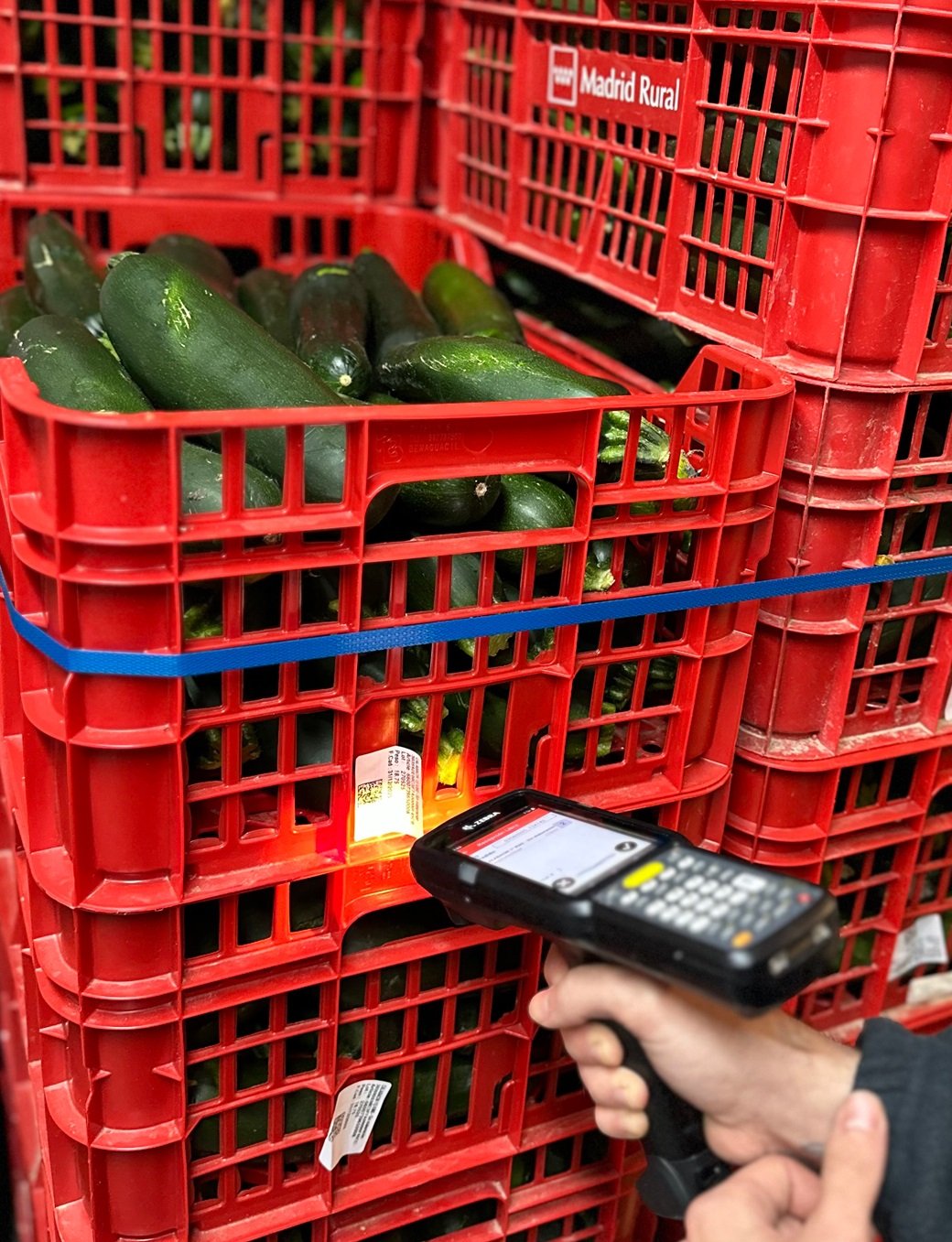Cajas con alimentos de proximidad