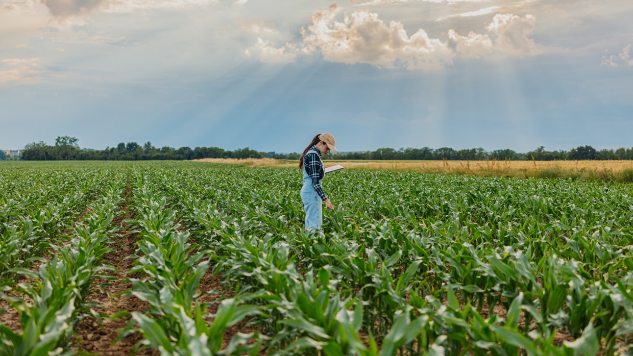 Mujer en el campo