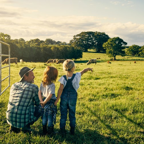 Un hombre y dos niñas en un campo, de color verde, con unos animales al fondo