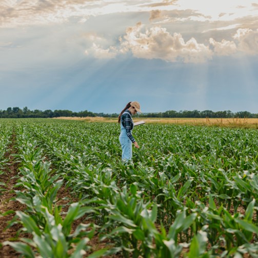 Mujer en el campo