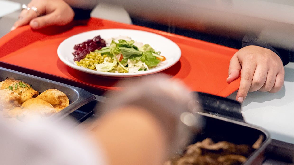 Ruokalautanen tarjottimella lounaslinjastolla.