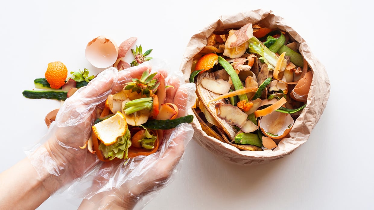 Biojätettä ylhäältä päin kuvattuna.