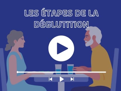 Les étapes de la déglutition