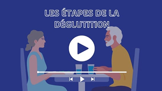 Les étapes de la déglutition