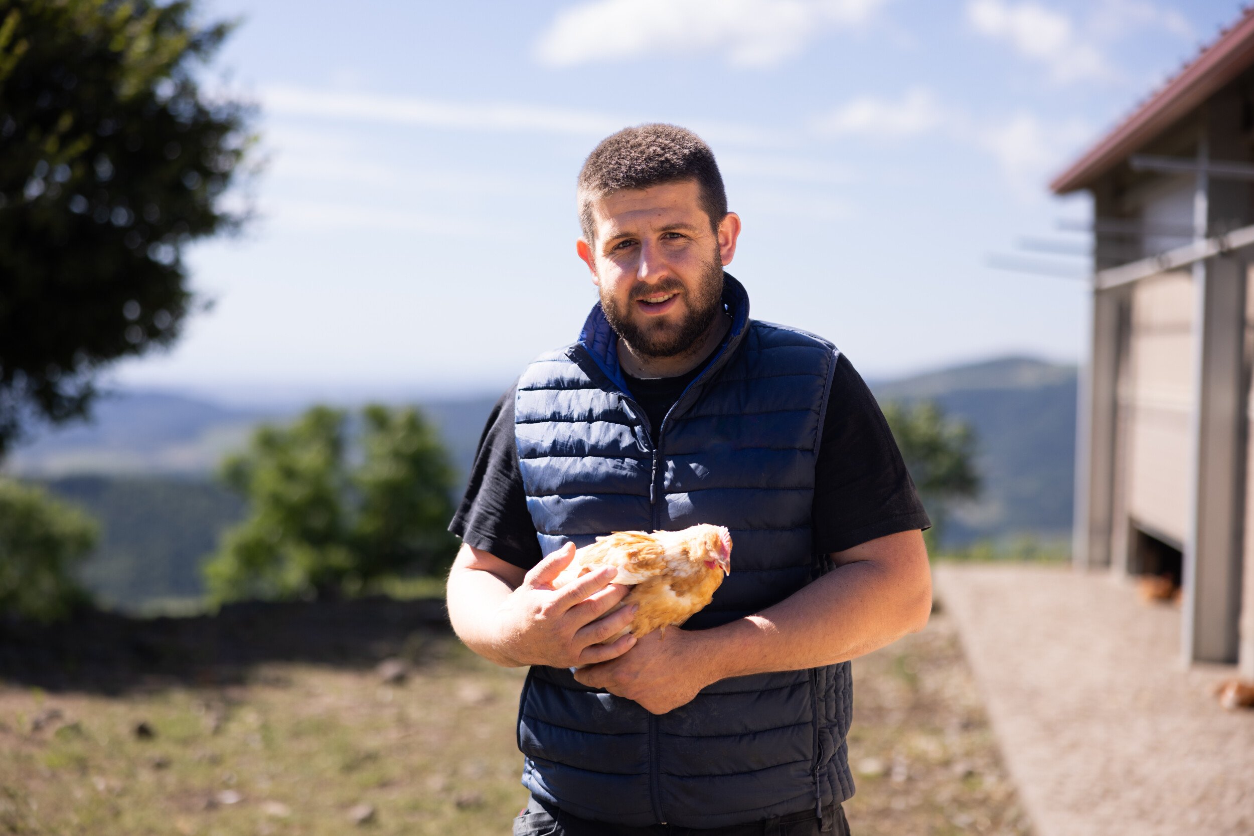 homme avec une poule