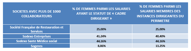 Représentation des hommes et des femmes au sein des cadres dirigeants et des instances dirigeantes (loi Rixain)