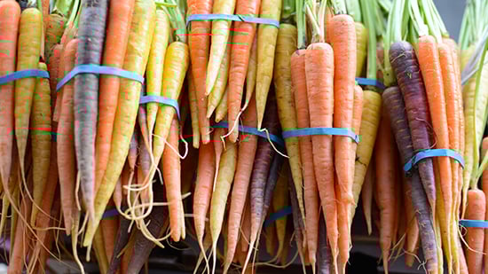 Food for seniors