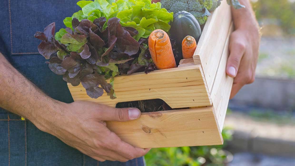 alimentazione-sostenibile