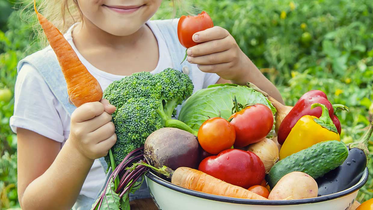 Città di Alba, bambina esplora le conoscenze su frutta e verdura per il progetto ORTOgrafia