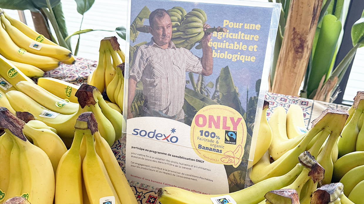 Fairtrade animation