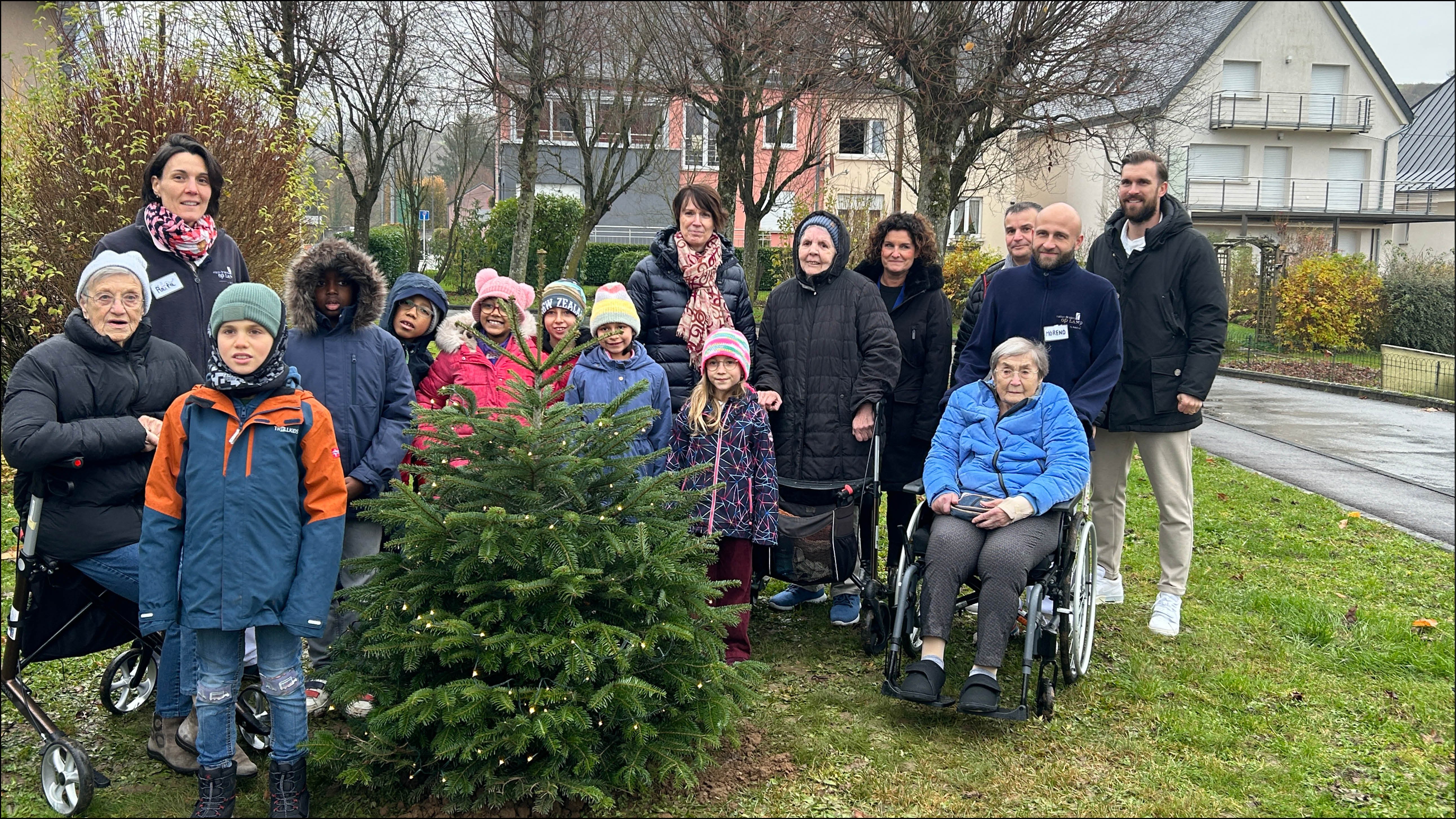 Media 1 Tree Plant Challenge1-1