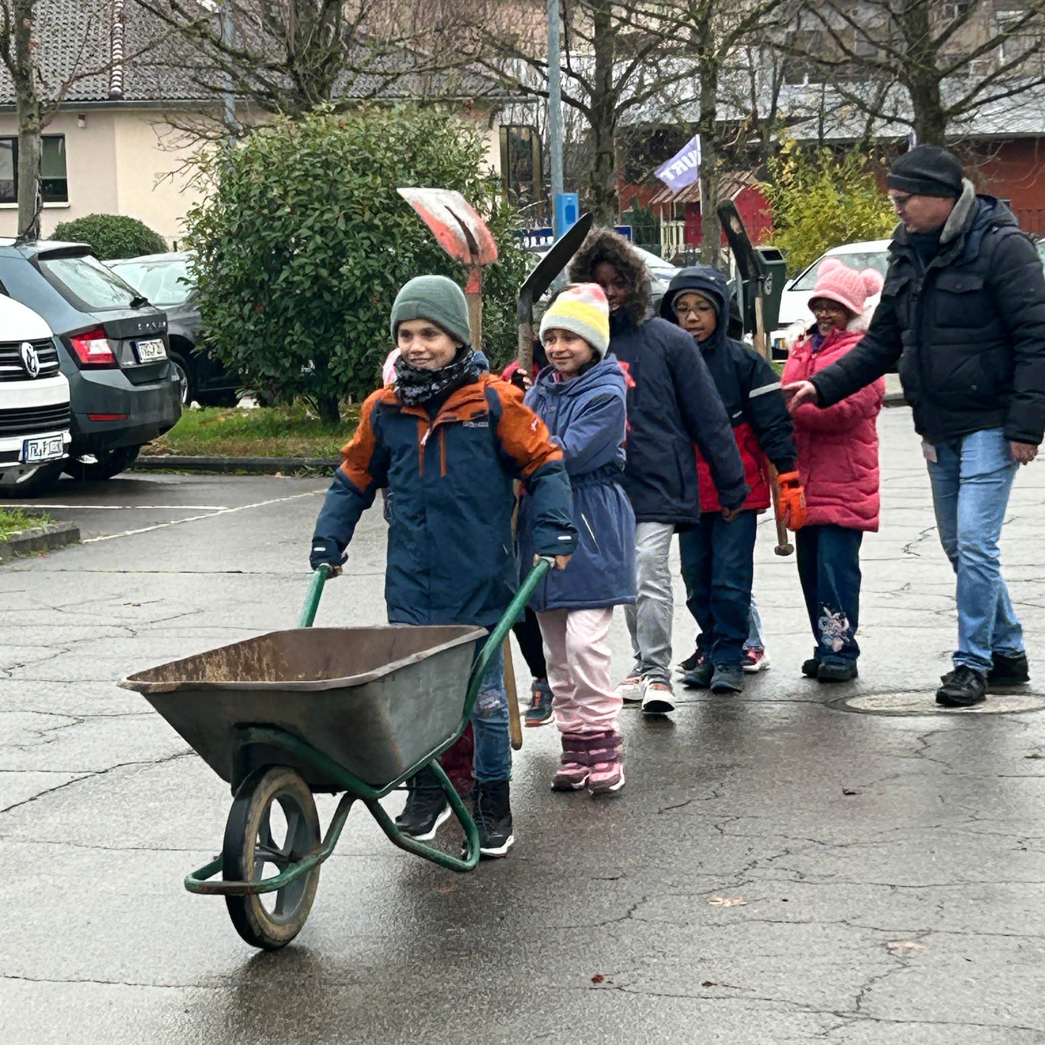 Media 3 Tree Plant Challenge1-11-11-1