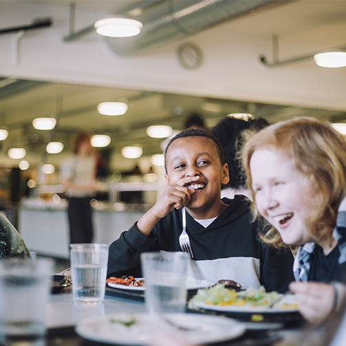 Restauration-education