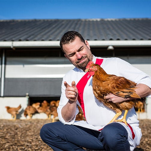 bien-etre-animal-poulet