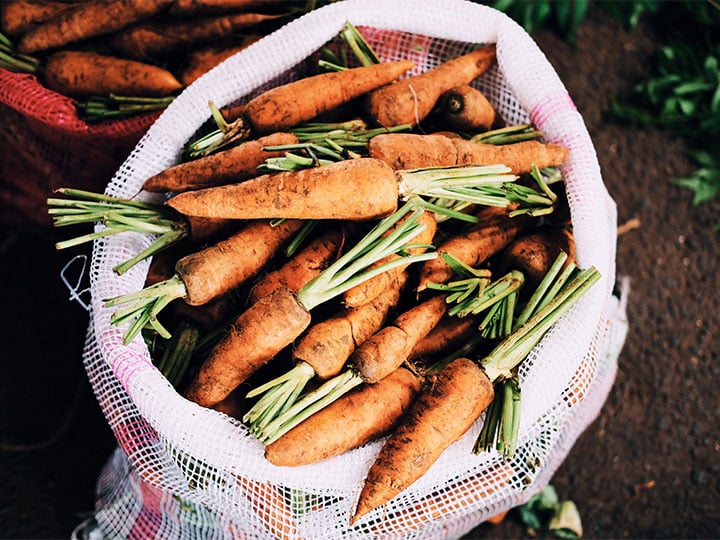 Carottes