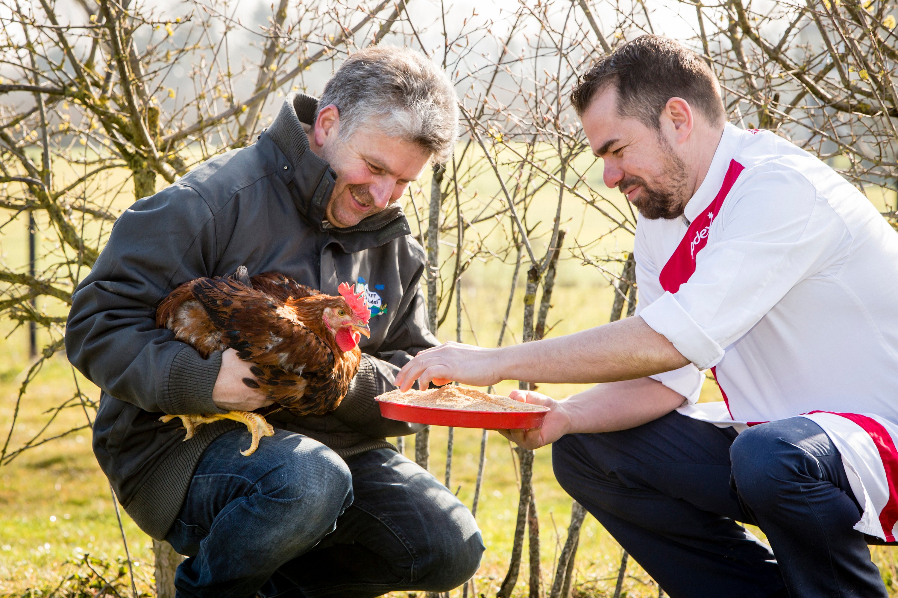 POULET_145