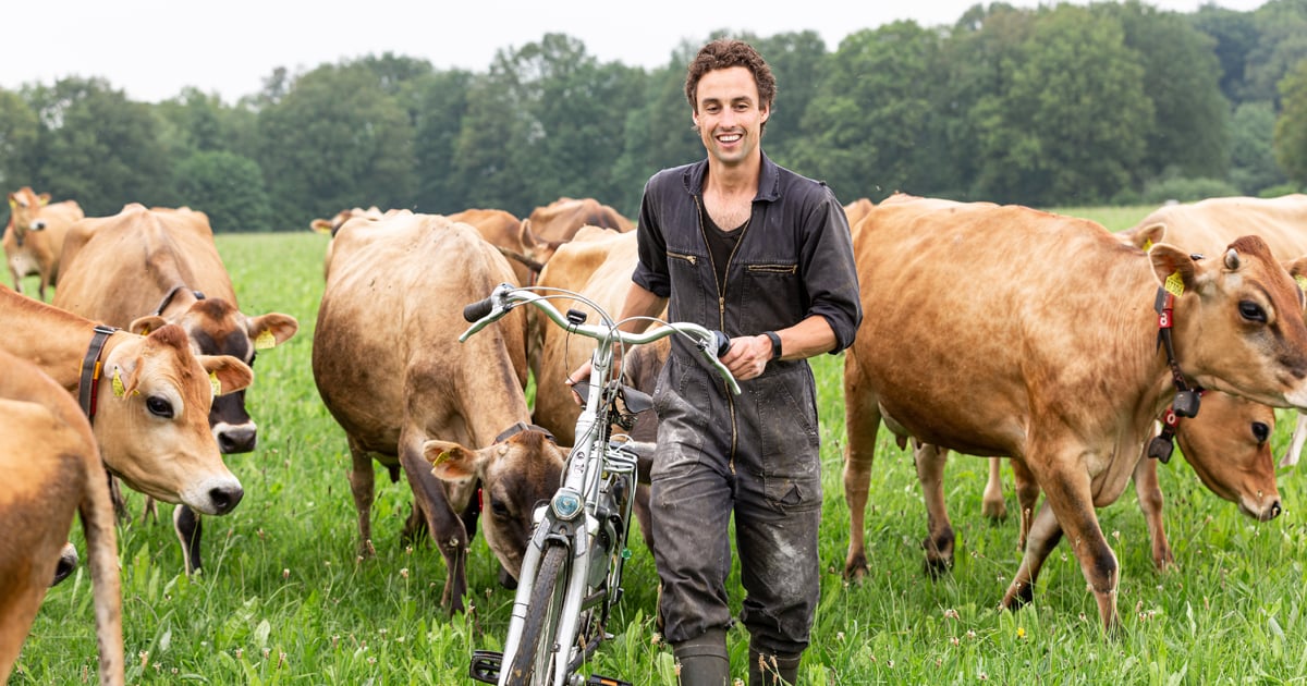 Sodexo - Boer Kees OG