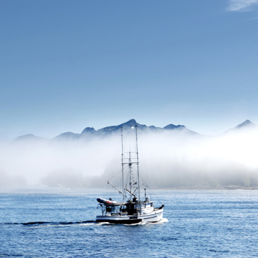 boat2_503x503