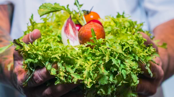 sustainable_sourcing_CSR_608x342