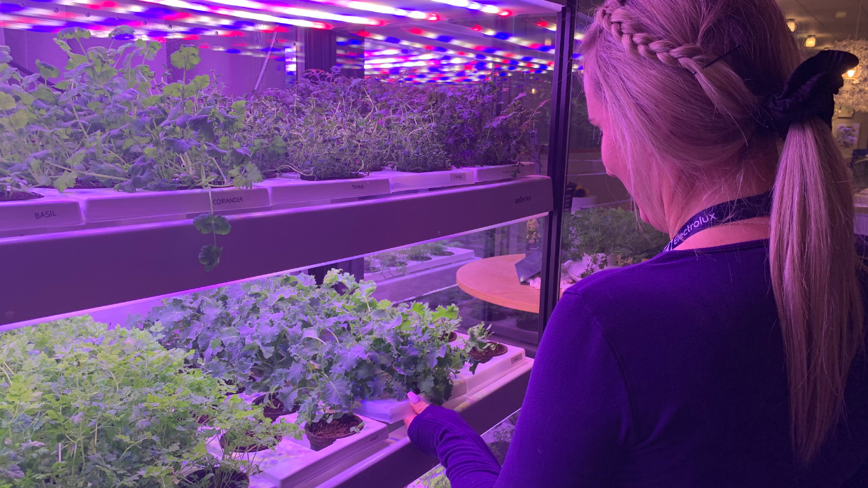 banner-1240-698-electrolux