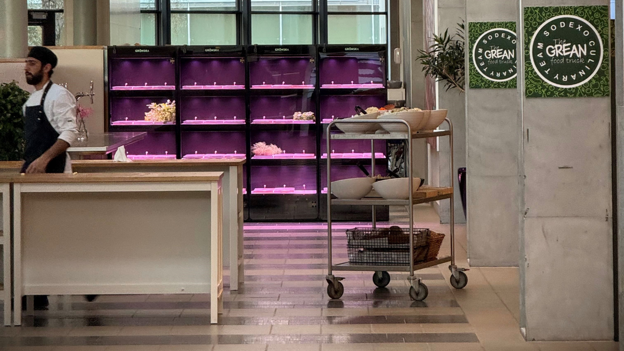 Hydroponisk odling på AstraZeneca i Södertälje