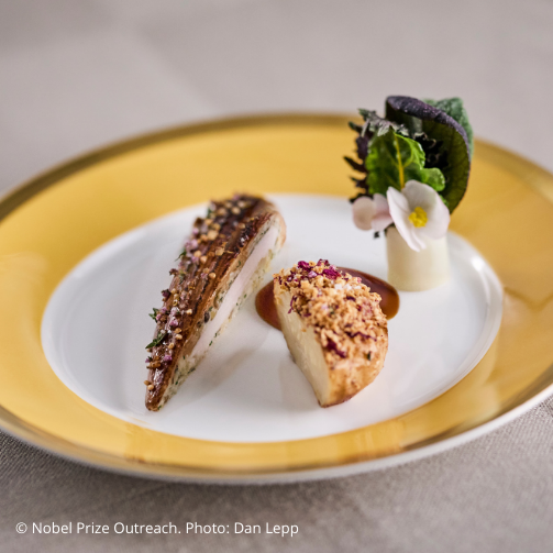 Nobelmenyn 2024 huvudrätt