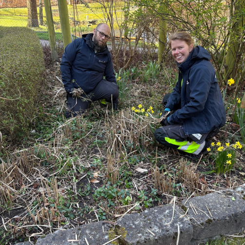 Volontärdag med trädgårdsarbete hos Ronald McDonald Hus