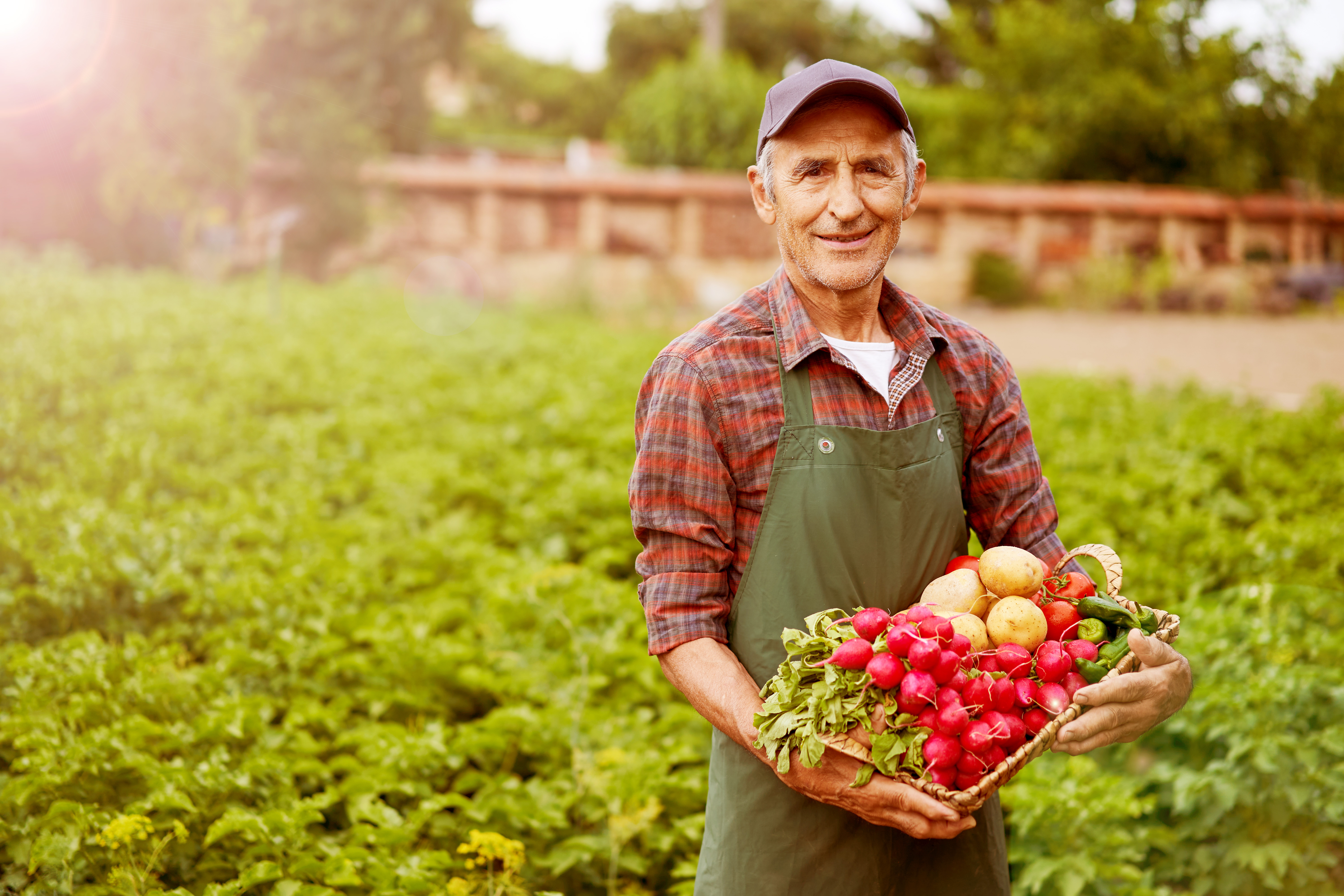 SODEXO-2026-GLOBAL-GettyImages-1130445342