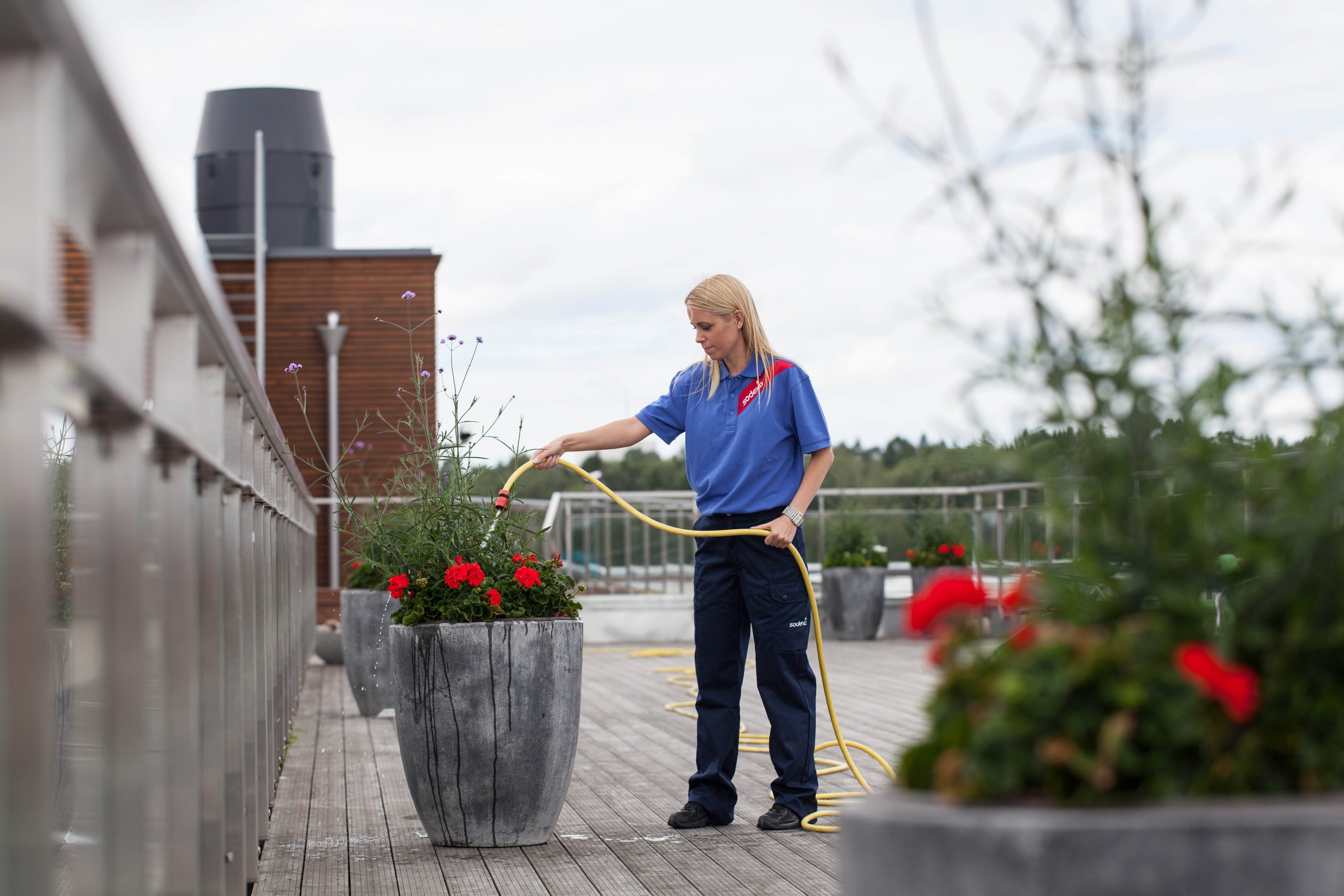 print_l_248_MG_7061_LANDSCAPING_CORPORATE_SWEDEN