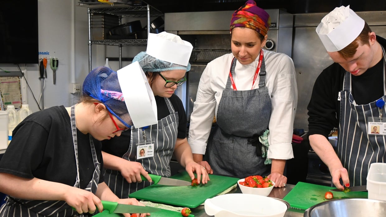 Aurora_Foxes_1240x698