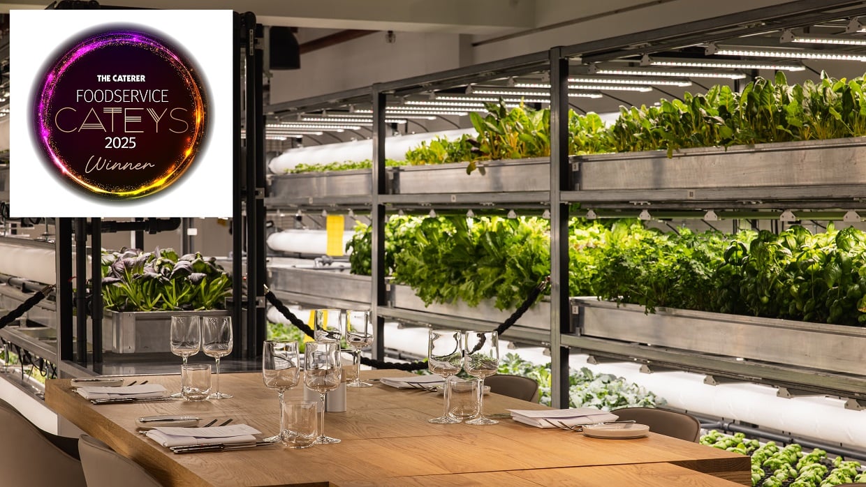 TheOrangery_FSCateys