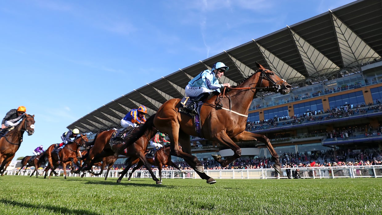 Royal Ascot 2026 1240x698