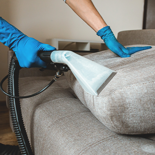 Hands of a person in gloves cleaning upholstered couch