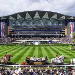 ascot_sodexo-lilve