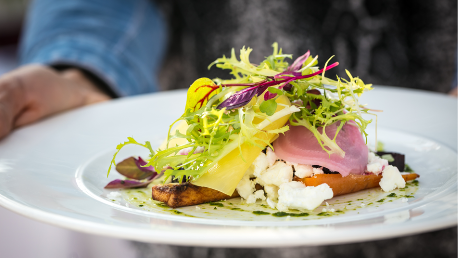 sl-food-plate-503