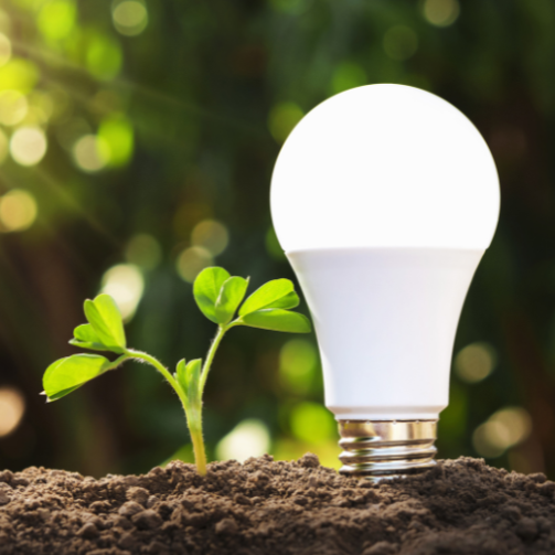 An energy-saving light bulb planted in soil