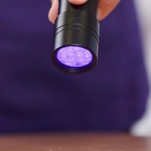 An ultra violet torch