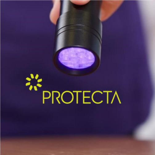 Hands of a person holding a purple flashlight.